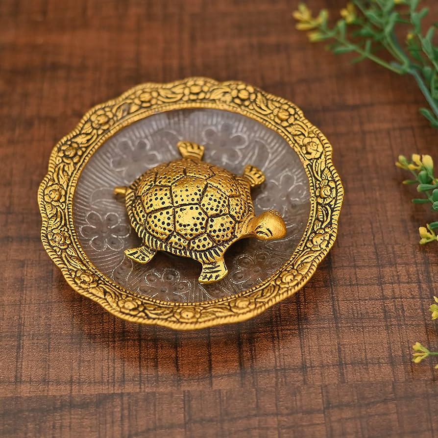 Tortoise + Plate