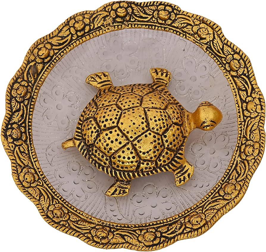 Tortoise + Plate