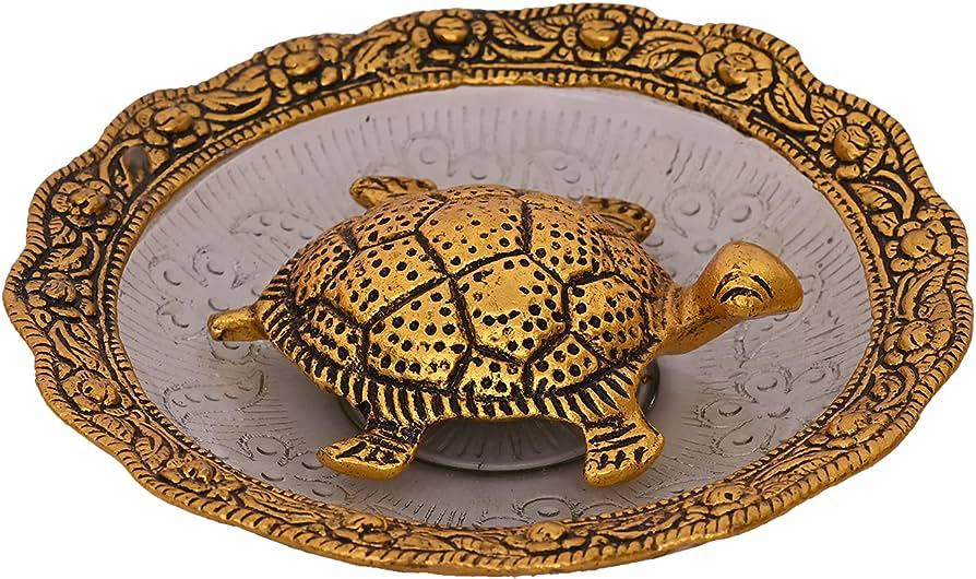 Tortoise + Plate