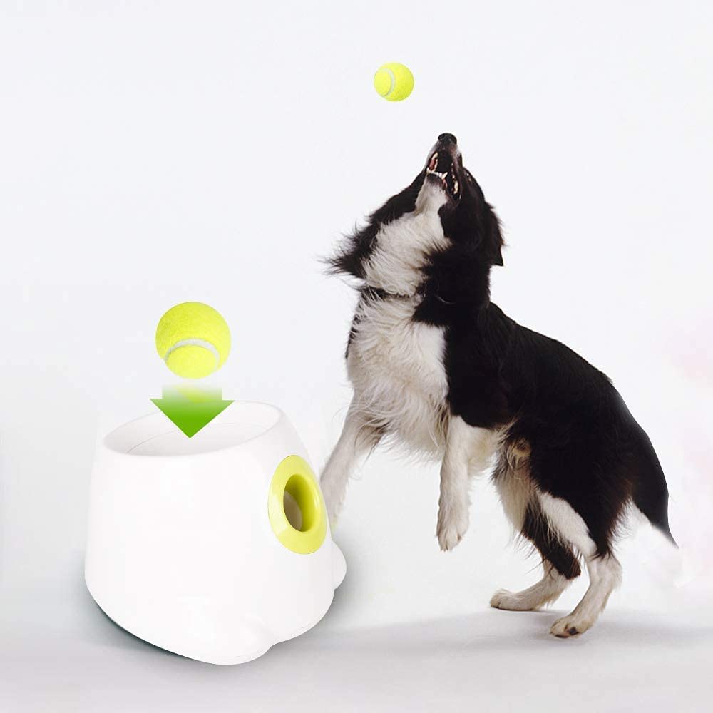 Automatic Ball Launcher for Dogs