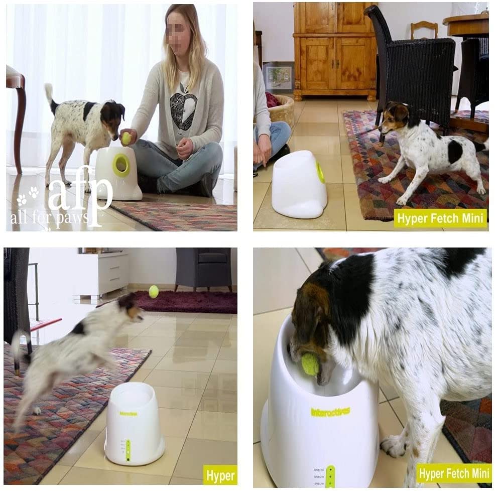 Automatic Ball Launcher for Dogs
