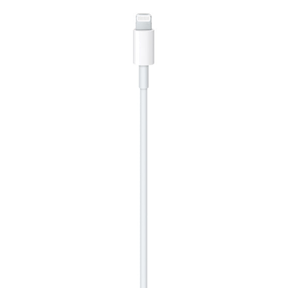 Apple USC-C to Lightning Cable (1m)