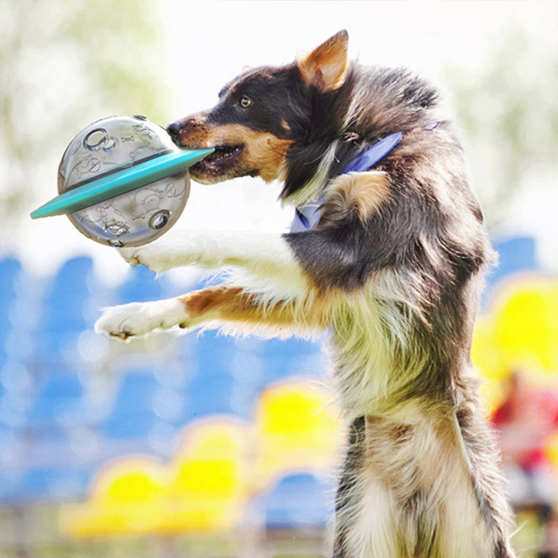 Interactive Dog Treat Ball Toy Food Dispensing Frisebee