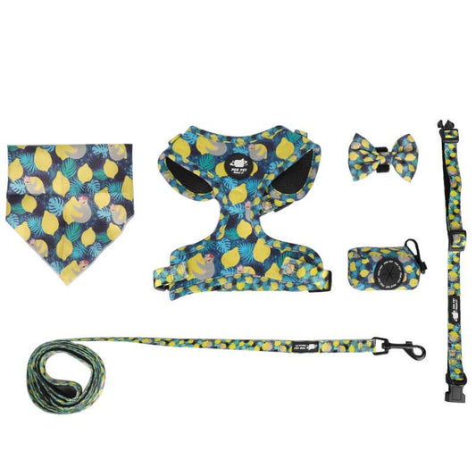 Dog Harness Set-Blue & Yellow Print