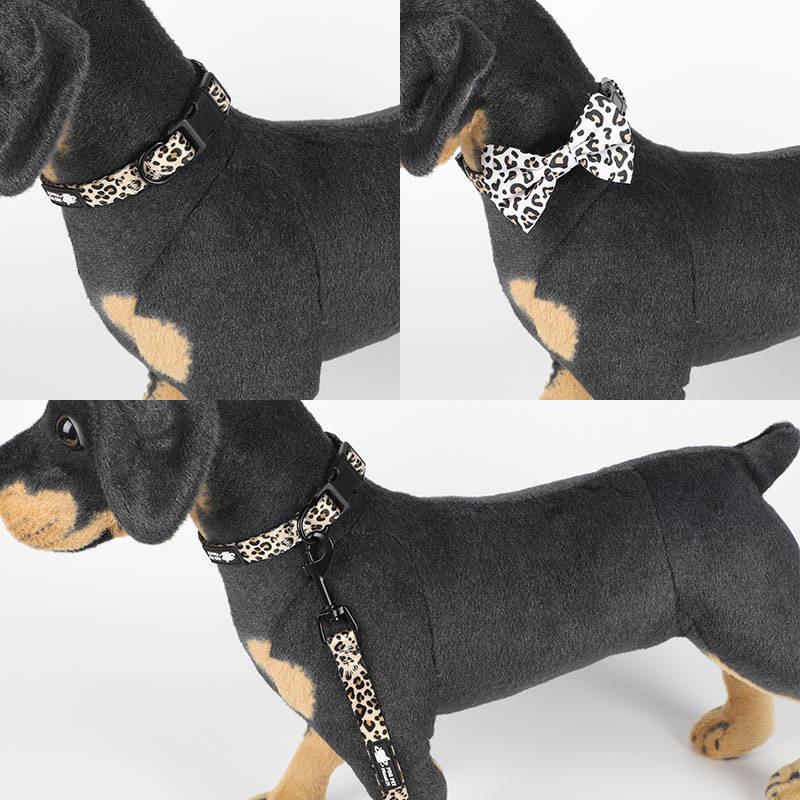 Dog Harness Set-Cheetah Print